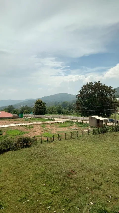 Hills of Yelagiri in the distance